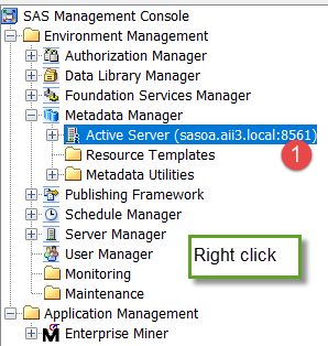 SAS Management Console navigation